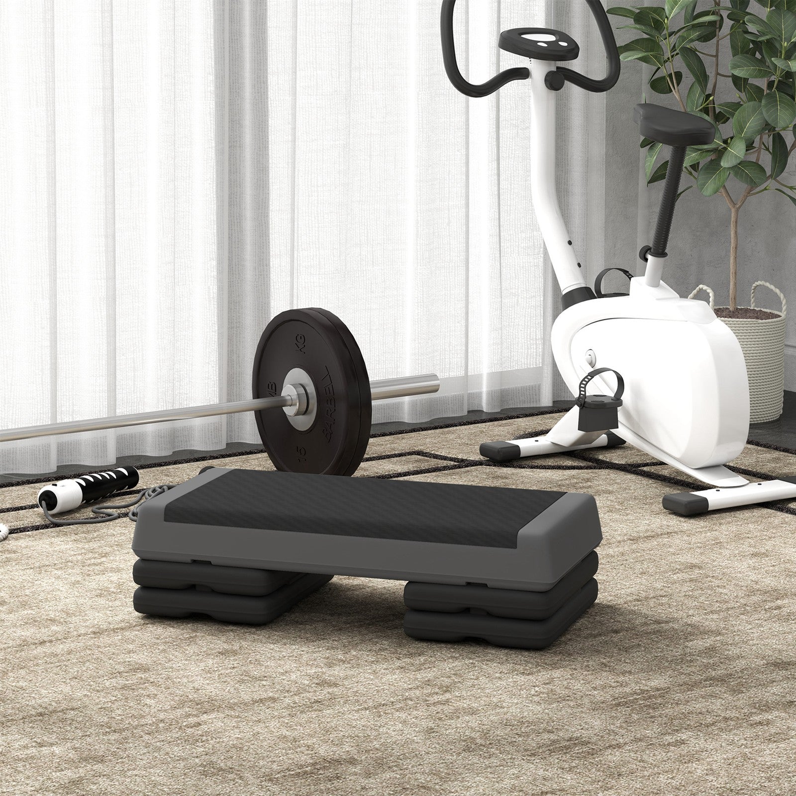 Fitness-Steppe Fitness-Steppe